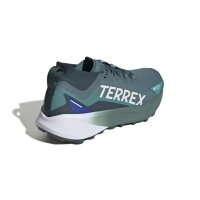 adidas Terrex Agravic Gtx Trailrunning-Schuhe Herren - preloved teal/white/semi lucid blue
