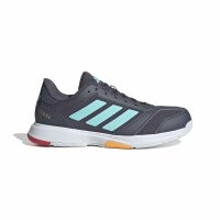 adidas Ligra 8 Indoor Schuhe Herren - aurora onix/flash...