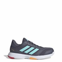 adidas Ligra 8 Indoor Schuhe Herren - aurora onix/flash...