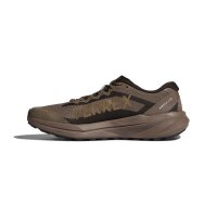 adidas Terrex Agravic Lite Sportschuhe Herren - earth strata/brown oxide/aurora coffee