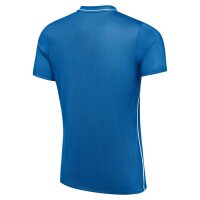 Nike Park 26 Dri-FIT Trikot Herren - blau/weiß