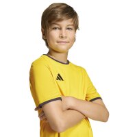 adidas Ent26 Jsy Y Trikot Kinder - team yellow/black