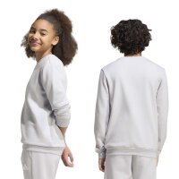 adidas Ent26 Sw Topy Sweatshirt Kinder - team light grey/white
