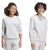 adidas Ent26 Sw Topy Sweatshirt Kinder - team light grey/white