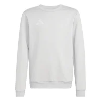 adidas Entrada 26 Sweatshirt Kinder - team light grey/white