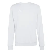 adidas Entrada 26 Sweatshirt Herren - team light grey/white
