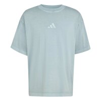 adidas All Szn Washed T-Shirt Herren - wonder sage