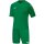 Jako Team Trikot - grün