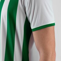 Jako Trikot Inter KA - weiß/sportgrün