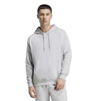 adidas Tiro 26L Swhood Hoodie Herren - team light grey/white