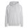 adidas Tiro 26L Swhood Hoodie Herren - team light grey/white
