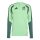 adidas Mexiko 26 Tiro Trainingsoberteil Herren - semi flash green