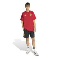 adidas Belgium Tiro Tech Shorts Herren - black