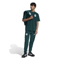 adidas Mexiko Tiro Reisehose Herren - aurora ivy
