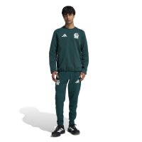 adidas Mexiko Tiro Reise Sweatshirt Rundhalsausschnitt Herren - aurora ivy