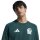 adidas Mexiko Tiro Reise Sweatshirt Rundhalsausschnitt Herren - aurora ivy