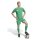 adidas Tiro 26 Competition Match Day Shorts Herren - team green/white
