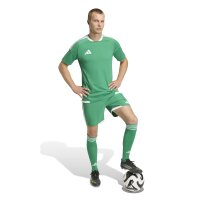 adidas Tiro 26 Competition Match Day Trikot Herren - team green/white