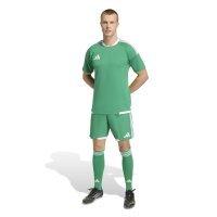 adidas Tiro 26 Competition Match Day Trikot Herren - team green/white
