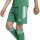 adidas Tiro 26 League Kids Shorts Kinder - team green/white