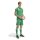 adidas Tiro 26 League Jersey Herren - team green/white