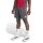 adidas FC Liverpool Tiro 25 Competition Trainingsshorts Herren - utility black