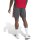 adidas FC Liverpool Tiro 25 Competition Trainingsshorts Herren - utility black