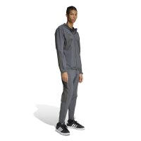 adidas House Of Tiro Hose Herren - grey six/colored reflective