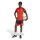 adidas Belgien 26 Tiro Trainingsshorts Herren - black