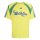 adidas M Tiro Np Tee Trikot Herren - bright yellow/bold green/bold blue
