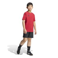 adidas Tiro Travel Tee Kids

 Kinder - team power red 2/black