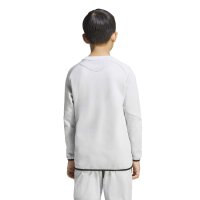 adidas Tiro Travel Crew Kids Sweatshirt Kinder - team light grey/black