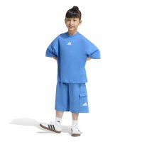 adidas Tiro_Nster T-Shirt Set Kinder - wonder sage/white