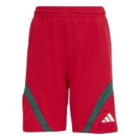 adidas House Of Tiro Shorts Kinder - better...