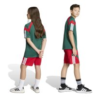 adidas House Of Tiro Shorts Kinder - better scarlet/white/team dark green