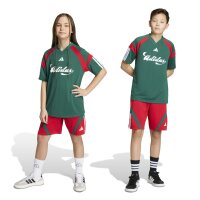 adidas House Of Tiro Shorts Kinder - better scarlet/white/team dark green