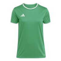 adidas Entrada 26 Jsy W Trikot Damen - team green/white