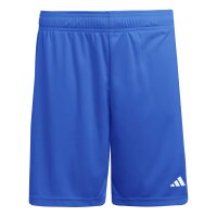 adidas Entrada 26 Sho Shorts Herren - team royal blue/white