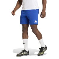 adidas Entrada 26 Sho Shorts Herren - team royal blue/white