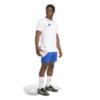 adidas Entrada 26 Sho Shorts Herren - team royal blue/white
