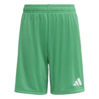 adidas Entrada 26 Sho Y Short Kinder - team green/white