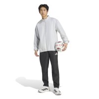 adidas Entrada 26 Pre Jkt Trainingsjacke Herren - team light grey/white