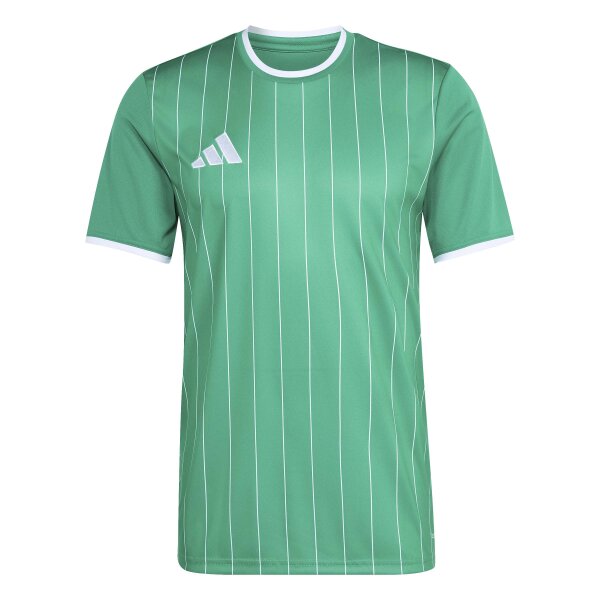 adidas Entrada 26 Gfx Jsy Trikot Herren - team green/white