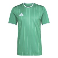 adidas Entrada 26 Gfx Jsy Trikot Herren - team green/white