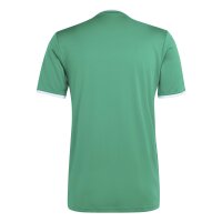 adidas Entrada 26 Gfx Jsy Trikot Herren - team green/white