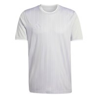 adidas Entrada 26 Gfx Jsy Trikot Herren - team light...