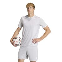 adidas Entrada 26 Gfx Jsy Trikot Herren - team light...