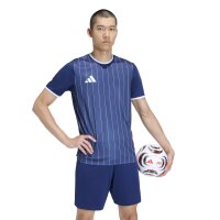 adidas Entrada 26 Gfx Jsy Trikot Herren - team navy blue 2/white