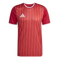 adidas Entrada 26 Gfx Jsy Trikot Herren - team power red...