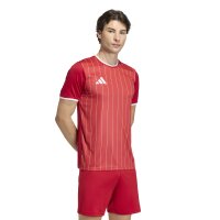 adidas Entrada 26 Gfx Jsy Trikot Herren - team power red 2/white